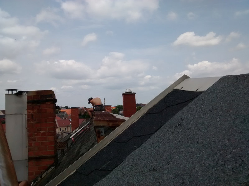 Doug climbing the roof like a pro