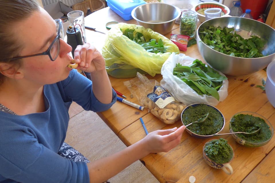 Pesto tasting